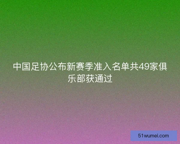 中国足协公布新赛季准入名单共49家俱乐部获通过