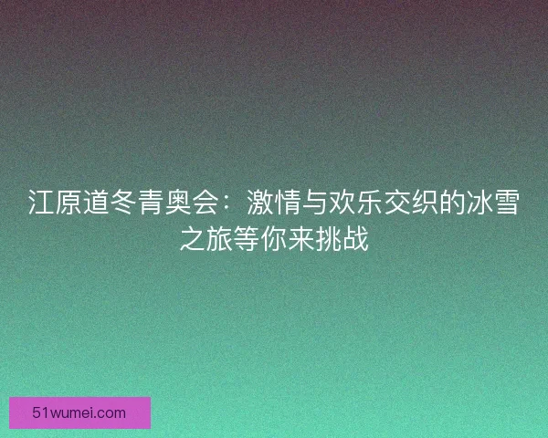 江原道冬青奥会：激情与欢乐交织的冰雪之旅等你来挑战